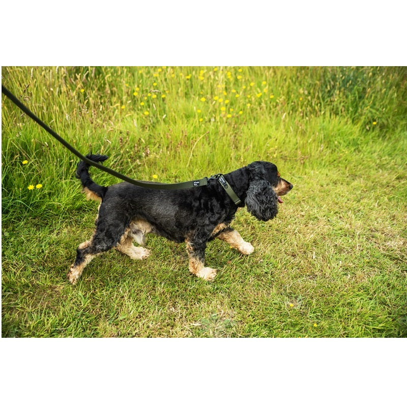 Mountain Paws Extra Tough Dog Collar Olive