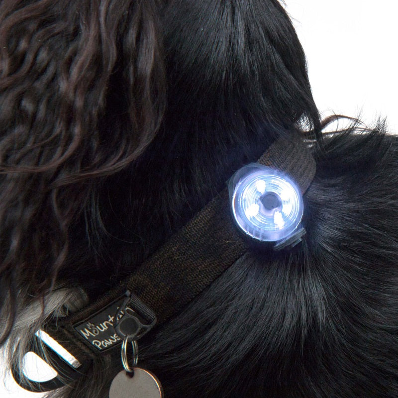 Mountain Paws Dog Safety Light