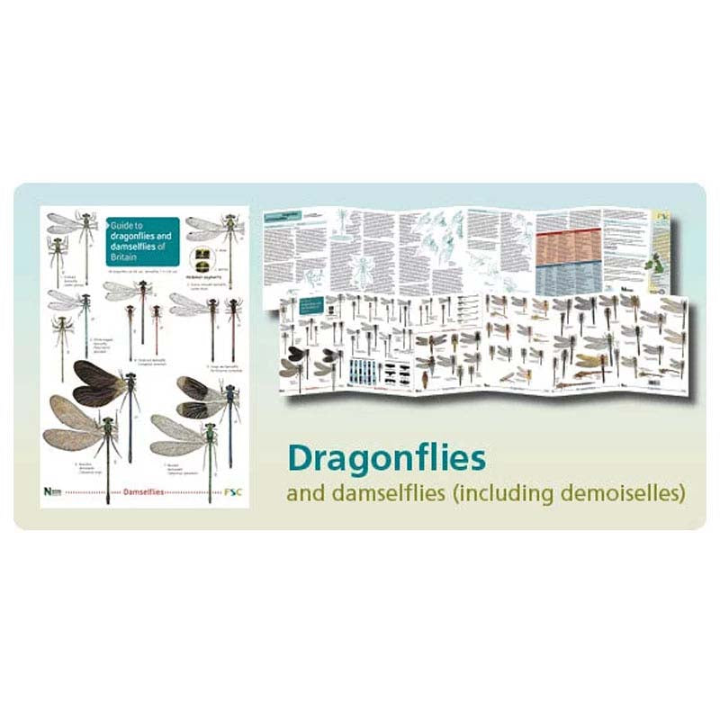 FSC Fold-out Chart - Dragonflies and Damselflies