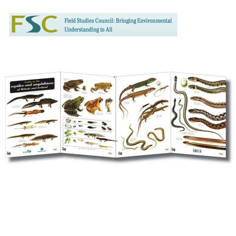 FSC Fold-out Chart - Reptiles and Amphibians