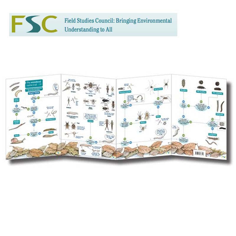 FSC Fold-out Chart - Woodland Name Trail