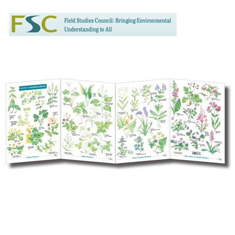 FSC Fold-out Chart - Woodland Plants