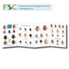 FSC Fold-out Chart - Ladybirds