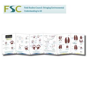 FSC Fold-out Chart - Mammal Tracks and Signs