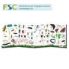 FSC Fold-out Chart - Garden Bugs and Beasties
