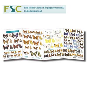 FSC Fold-out Chart - Butterflies