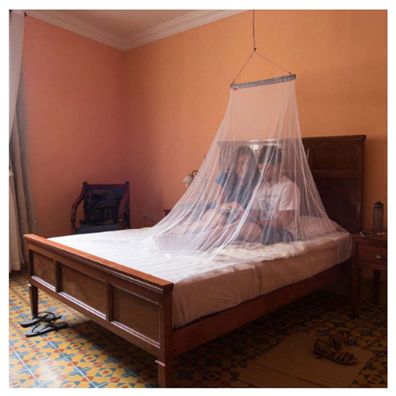 Insect Protection