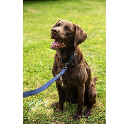 Mountain Paws Extra Tough Dog Lead Navy
