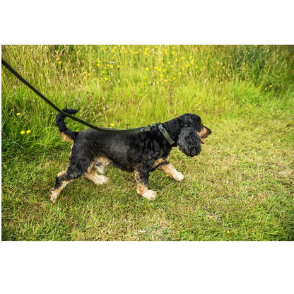 Mountain Paws Extra Tough Dog Lead Olive