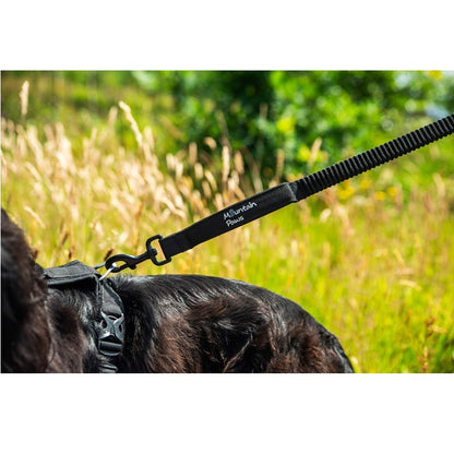 Mountain Paws Stretch Dog lead Black