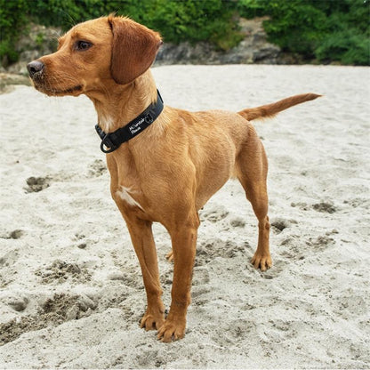 Mountain Paws Extra Tough Dog Collar Navy