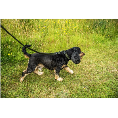 Mountain Paws Extra Tough Dog Collar Olive