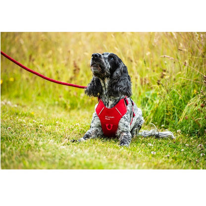 Mountain Paws Dog Harness Red
