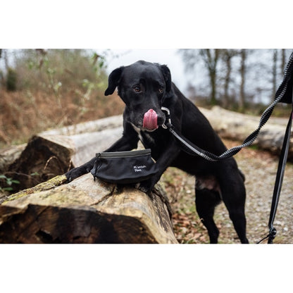 Mountain Paws Collapsible Dog Food Bowl Black
