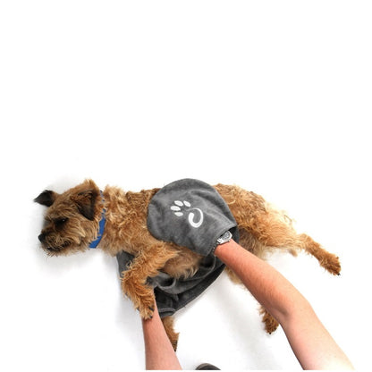 Mountain Paws Muddy Dog Towel