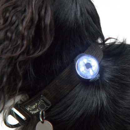 Mountain Paws Dog Safety Light 2 Pack