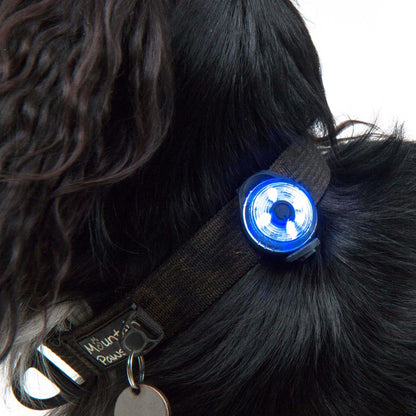Mountain Paws Dog Safety Light 2 Pack