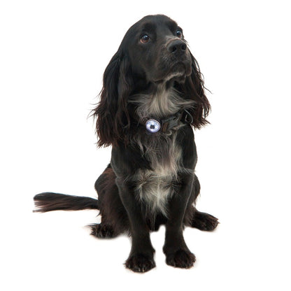 Mountain Paws Dog Safety Light 2 Pack