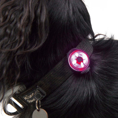 Mountain Paws Dog Safety Light 2 Pack